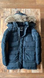 Zgan winterjas van coolcat maat xs, Ophalen of Verzenden, Zo goed als nieuw, Maat 46 (S) of kleiner, Zwart