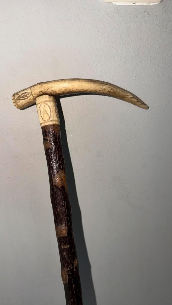 Antieke herdersstok / wandelstok (ca. 1880–1930) hertengewei, Diversen, Wandelstokken, Nieuw, Ophalen of Verzenden