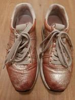 Premiata dames  sneakers  maat 37, Kleding | Dames, Schoenen, Premiata, Ophalen of Verzenden, Sneakers of Gympen, Gedragen