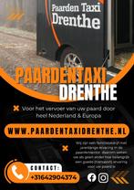Paardentaxi Drenthe - paardenvervoer door heel NL, Weidegang, 4 paarden of pony's of meer