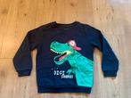 Leuke trui dino maat 116, Ophalen of Verzenden, Zo goed als nieuw, Jongen, Trui of Vest