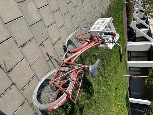 Batavus diva 26 inch 3 versnellingen, Fietsen en Brommers, Fietsen | Meisjes, Gebruikt, 26 inch of meer, Handrem, Versnellingen
