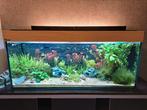 Aquarium 150 cm, Dieren en Toebehoren, Ophalen, Gebruikt, Leeg aquarium