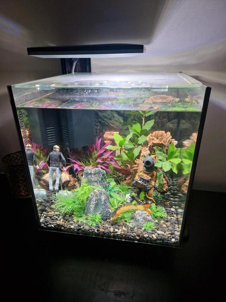 Aquarium 30 liter, Huis en Inrichting, Woonaccessoires | Overige, Ophalen of Verzenden