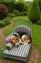 hondenbed divan middelgrote hond, Dieren en Toebehoren, Ophalen, Gebruikt, Stof