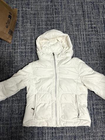 Polo Ralph Lauren winterjas beschikbaar voor biedingen