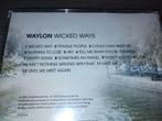 Waylon - Wicked Ways, Ophalen of Verzenden, 1960 tot 1980, Zo goed als nieuw