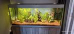 EHEIM AQUARIUM  incl kast, Dieren en Toebehoren, Ophalen, Gebruikt, Overige typen