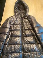 Ab lifestyle winterjas maat s, Kleding | Heren, Ophalen of Verzenden, Zo goed als nieuw, Zwart