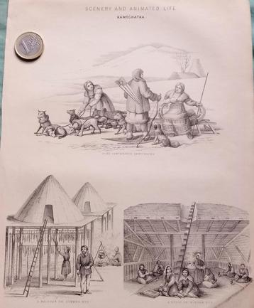 Scenery and animated life - Kamtsjatka - Gravure beschikbaar voor biedingen
