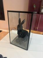 Vitrine van lifetime  25 x 40 cm, Huis en Inrichting, Woonaccessoires | Stolpen, Ophalen of Verzenden, Zo goed als nieuw
