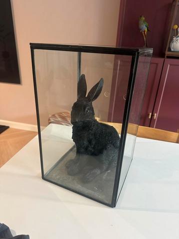 Vitrine van lifetime  25 x 40 cm beschikbaar voor biedingen