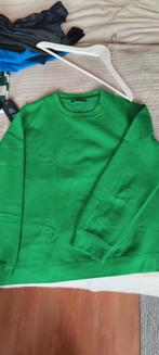 Groene Zara trui - Maat M, Kleding | Dames, Truien en Vesten, Zara, Ophalen of Verzenden, Maat 38/40 (M), Groen