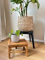 Mooi klein Vintage bamboe planten tafeltje, Ophalen, Gebruikt, Hout