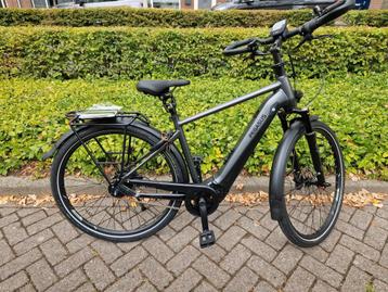 NIEUWE Pegasus Premio Evo met Bosch middenmotor 500WH accu  beschikbaar voor biedingen