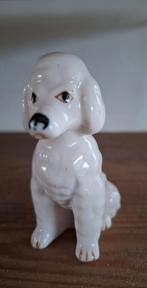 Wit porseleinen poedel, hond, zittend, Ophalen of Verzenden, Zo goed als nieuw, Dier