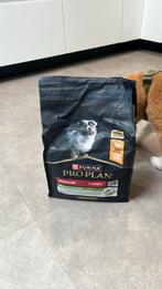 Purina probplan puppy, Dieren en Toebehoren, Ophalen, Hond