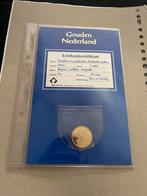 1 Gulden Beatrix 2001 - Gouden Nederland, Ophalen of Verzenden, Koningin Beatrix, 1 gulden, Losse munt