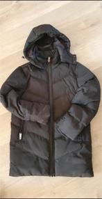 Malelions dames jas maat XXS, Ophalen, Nieuw, Maat 34 (XS) of kleiner, Zwart