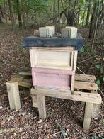 Bijenkast, Dieren en Toebehoren, Bijen