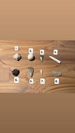 Diverse fossielen collectie, Verzamelen, Mineralen en Fossielen, Ophalen of Verzenden, Fossiel