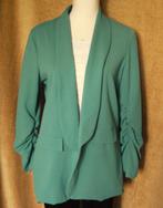 qj  LEUKE DAMES JAS van STYLEBOOM Maat:XL/L, Kleding | Dames, Overige kleuren, Maat 46/48 (XL) of groter, Ophalen of Verzenden