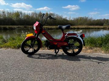 Tomos S25 50cc 2005 volledig gerestaureerd en gereviseerd  beschikbaar voor biedingen