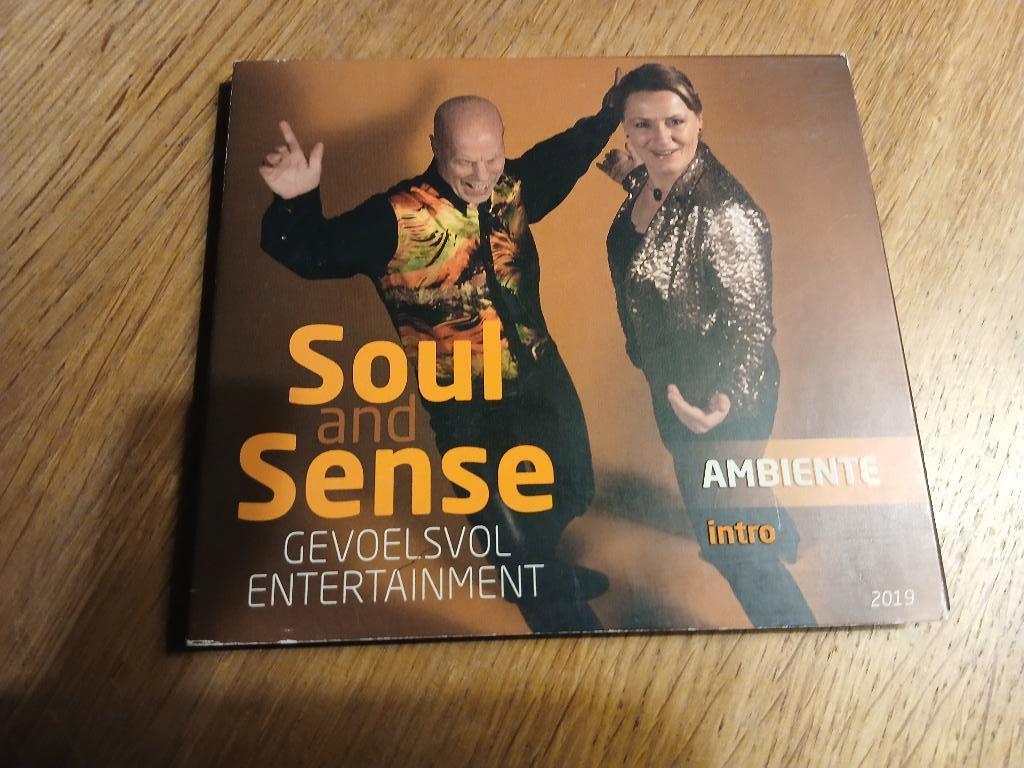 CD - Soul and Sense - Ambiente Intro, Ophalen of Verzenden, Gebruikt, Overige soorten