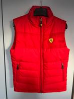 Ferrari Bodywarmer mt 116 nieuw!, Jongen of Meisje, Nieuw, Ophalen of Verzenden, Ferrari