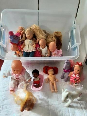 veel kleine popjes TE KOOP ❤️ beschikbaar voor biedingen