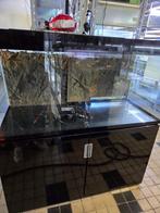 EHEIM Incpiria 400 Aquarium met onderkast zwart, Ophalen, Gebruikt, -, -
