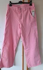 Nieuwe roze broek, Maat 42, Kleding | Dames, Broeken en Pantalons, Ophalen of Verzenden, Nieuw, Maat 42/44 (L), Roze