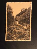 Apeldoorn, Berg en Bos, Verzenden, 1940 tot 1960, Ongelopen, Gelderland