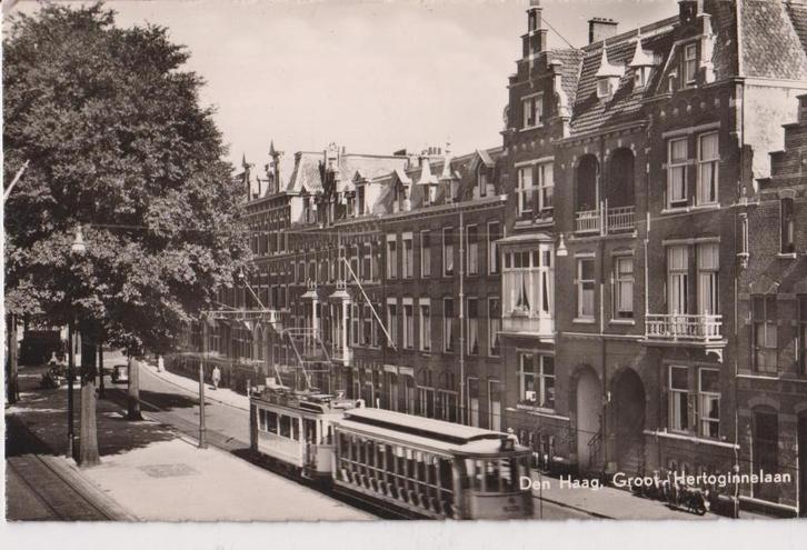 Den Haag, Groot Hertoginnelaan met de tram, Verzamelen, Ansichtkaarten | Nederland, Ongelopen, Zuid-Holland, Ophalen of Verzenden