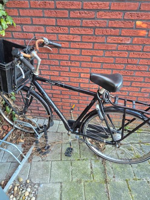 Giant heren fiets bruin 28 inch wielen 7 versnellingen, Fietsen en Brommers, Fietsen | Heren | Herenfietsen, Gebruikt, Giant, Versnellingen