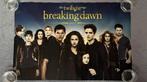Poster Twilight Breaking Dawn part 2, Verzamelen, Posters, Zo goed als nieuw, Ophalen