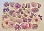 Paarse bloemen stickers, Nieuw, Ophalen of Verzenden, Meerdere stickers