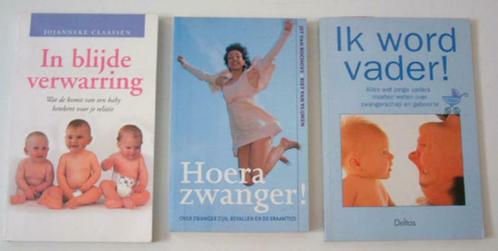 Zwangerschap boeken 4 stuks Kindje Zwanger Bevalling, Boeken, Zwangerschap en Opvoeding, Zo goed als nieuw, Zwangerschap en Bevalling