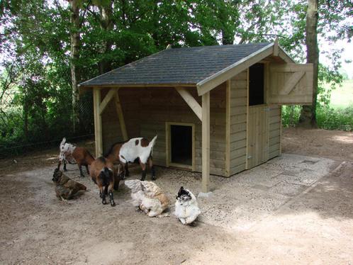 geitenhokken, Dieren en Toebehoren, Overige Dieren-accessoires, Nieuw, Ophalen of Verzenden