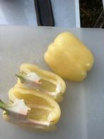 Zakje zaden van lichtgele paprika, Ophalen of Verzenden