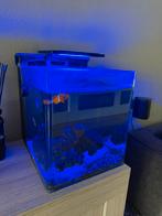 Zoutwater aquarium zout water vissen aquaria, Ophalen, Zo goed als nieuw