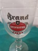 brand bier glas sylvester, Ophalen of Verzenden