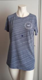 Heel Mooi en Leuk T-shirt, maat L, Hollister, NIEUW, Nieuw, Blauw, Maat 42/44 (L), Hollister