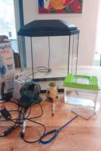 Aquarium starters set met toebehoren, Ophalen, Gebruikt, Leeg aquarium