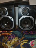 Technics SB-F820 2way speaker system, Ophalen of Verzenden, Gebruikt, Overige merken