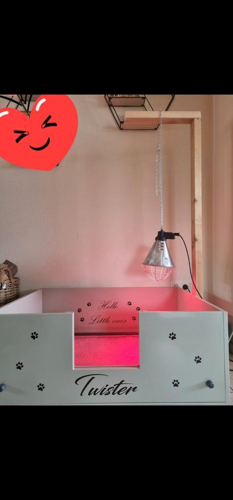 Te huur! Complete werpkist en puppyren met alle toebehoren!, Dieren en Toebehoren, Hondenmanden, Ophalen