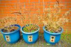 6 grote zware blauwe bloempotten hoogte 30 en ø34cm, Ophalen of Verzenden, Zomer, Overige soorten, Volle zon