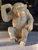 Goudkleurige chimpansee, Ophalen of Verzenden, Nieuw, Dier