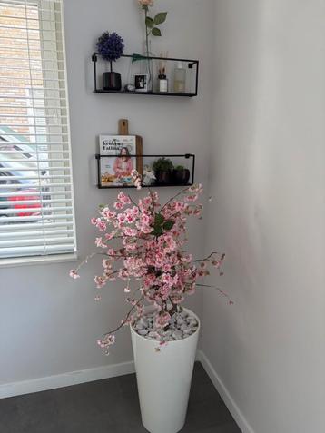 Bloesemboom lichtroze incl. witte pot beschikbaar voor biedingen