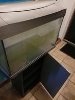 Aquarium gratis afhalen Tetra 65 liter, Dieren en Toebehoren, Vissen | Aquaria en Toebehoren, Ophalen, Gebruikt, Leeg aquarium